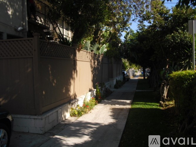 A sunny day in a quiet residential street.