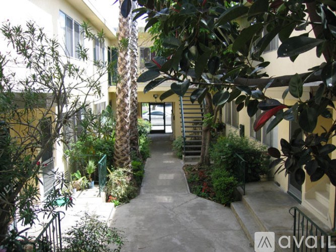 A courtyard with a staircase surrounded by plants and trees.