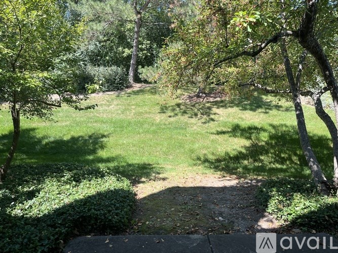 A garden with a stone pathway leading to a grassy area.
