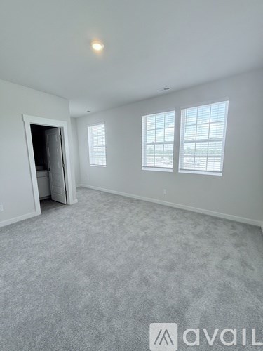 A room with a carpeted floor, two windows, and a door leading to another room.