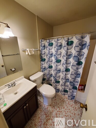 A bathroom with a toilet, sink, and shower curtain.