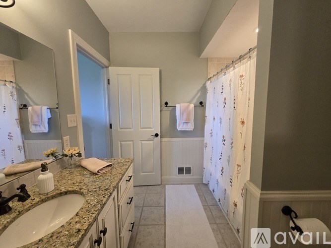 A bathroom with a sink, mirror, and shower curtain.
