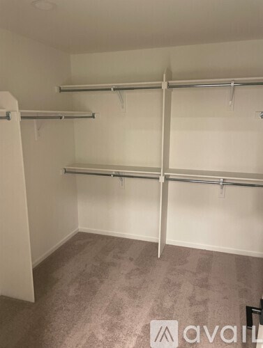 A room with a carpeted floor and a wall-mounted shelving unit.