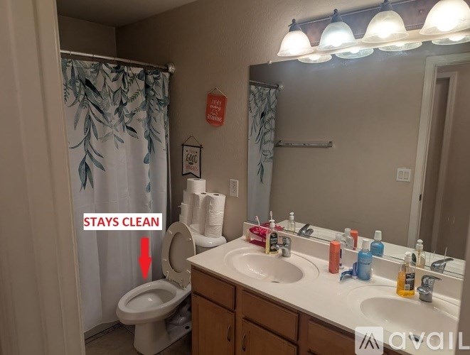 A bathroom with a toilet, sink, and mirror.