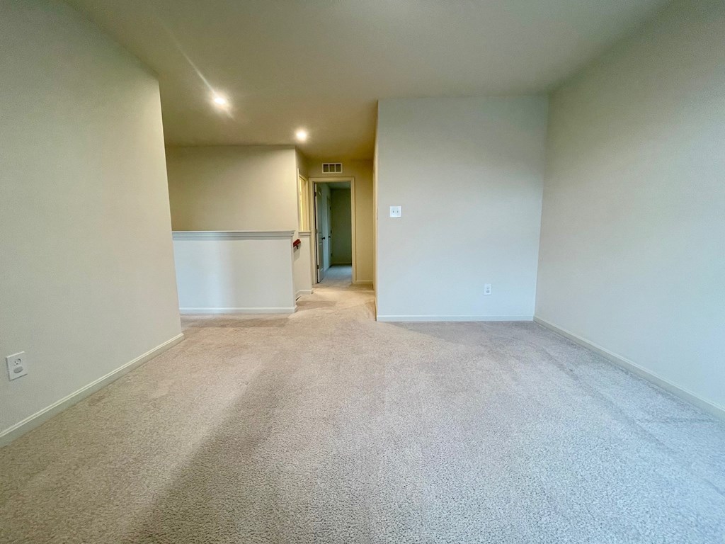 A room with a carpeted floor and a door in the background.