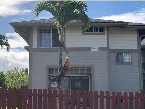 A palm tree in front of a grey house with a red fence.