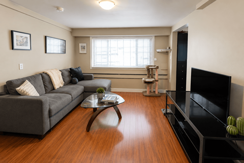 A living room with a grey couch and a coffee table.