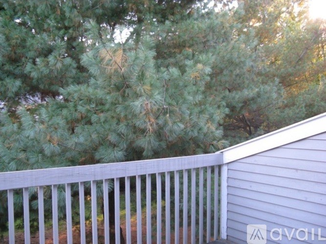 A wooden deck with a railing and a pine tree in the background.
