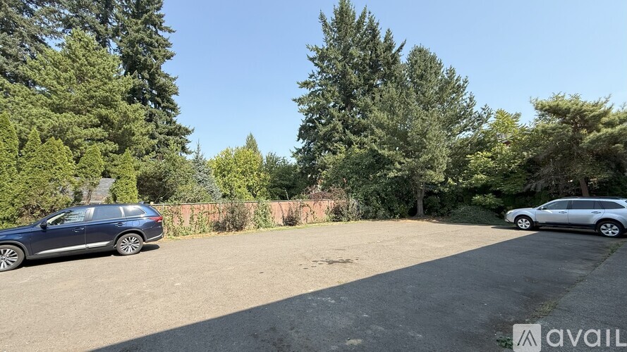 A parking lot with two cars and trees in the background.
