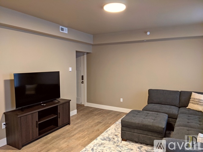 A living room with a grey couch and a television.