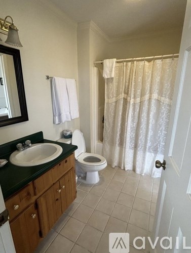 A bathroom with a toilet, sink, and shower curtain.