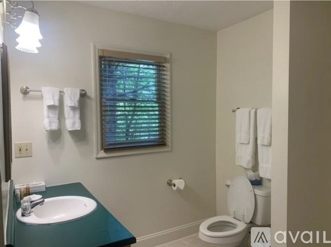 A bathroom with a toilet, sink, and towels.