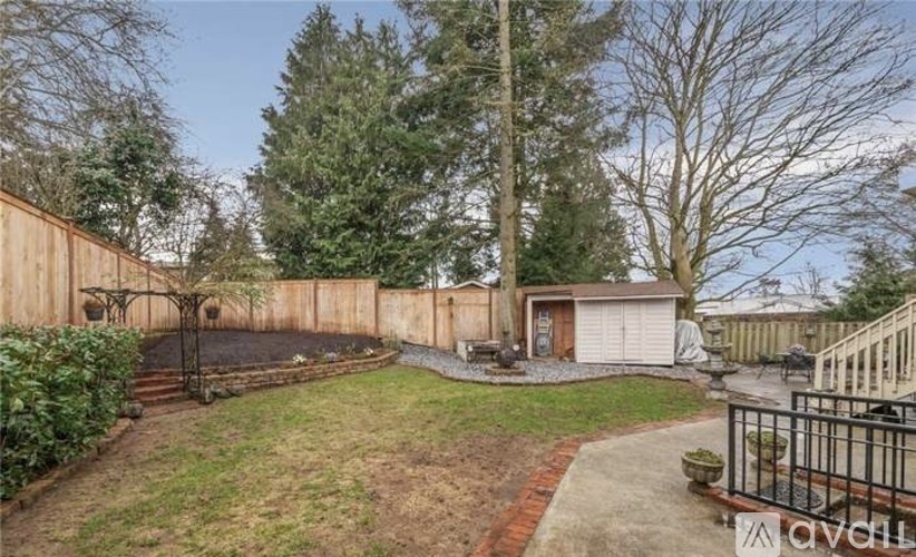 A backyard with a fence, a small shed, and a tree.