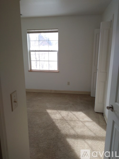 A room with a carpeted floor and a window letting in sunlight.