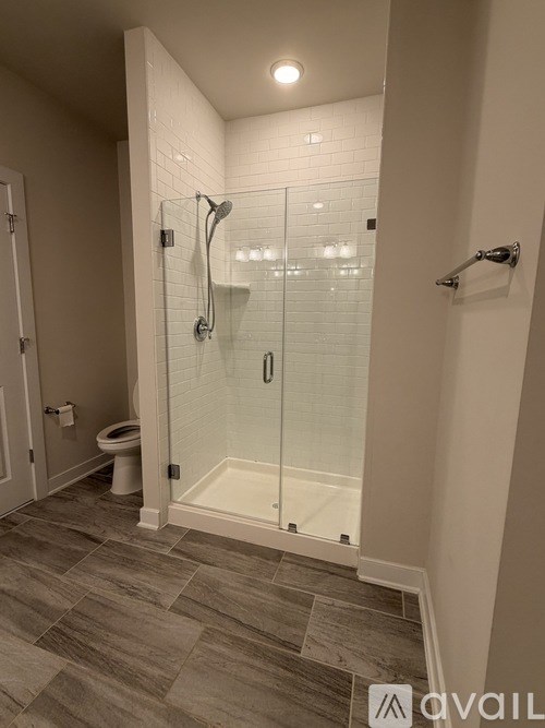 A bathroom with a walk-in shower and a toilet.