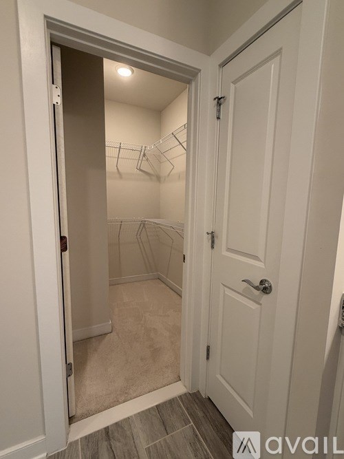 A white door is open to a walk-in closet.