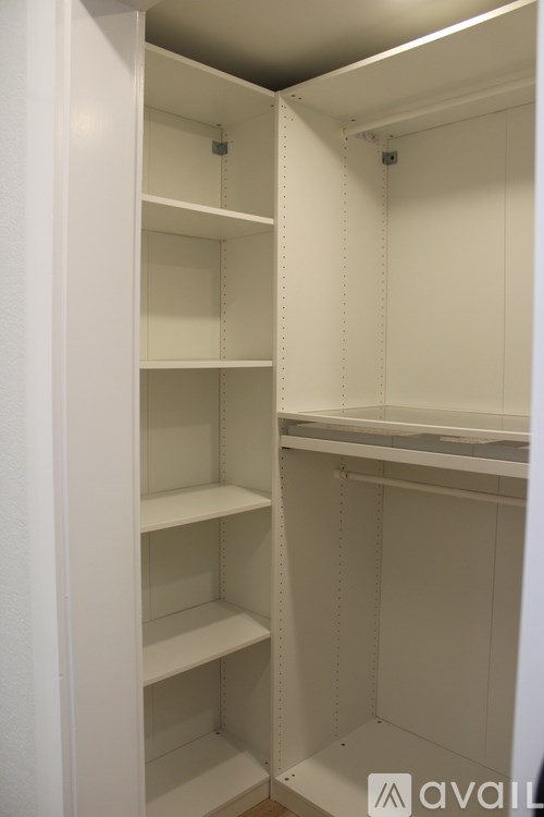 Empty white shelves in a pantry.