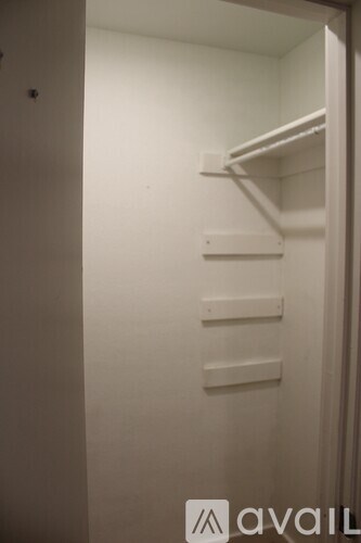A white closet with shelves and a door.
