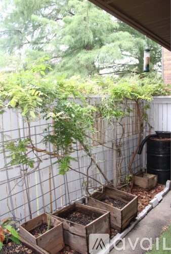 A garden with a white fence and wooden planters.