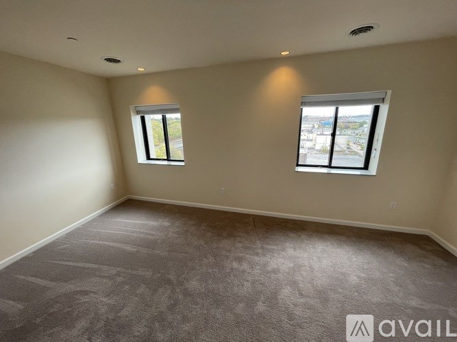 A room with two windows and carpeted floor.