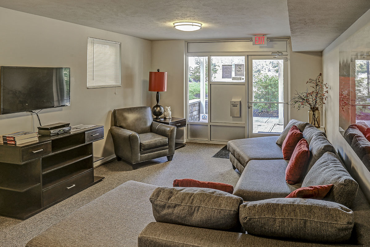 a living room with a couch and a tv