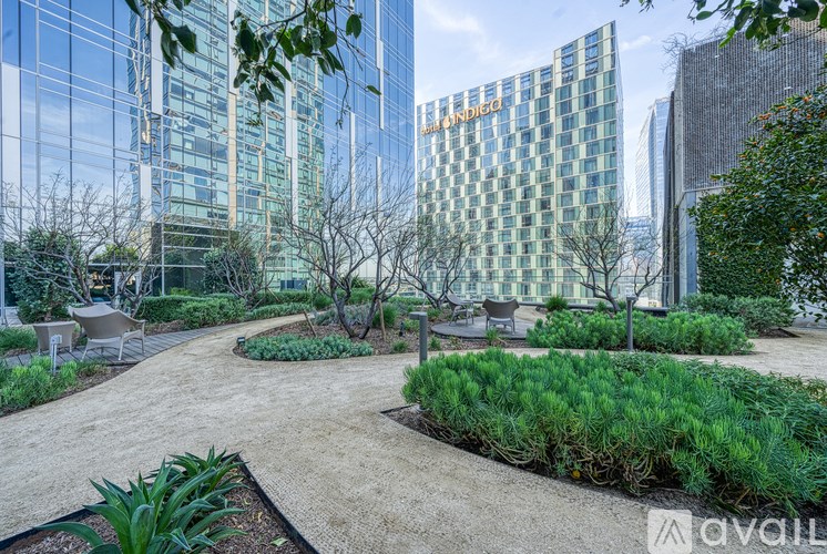 A modern garden with a building in the background.