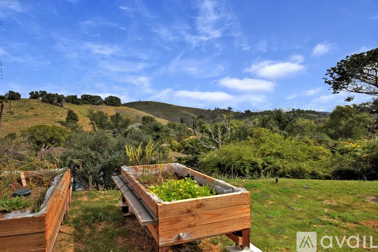 Two wooden raised garden beds on a hillside with a clear blue sky above.