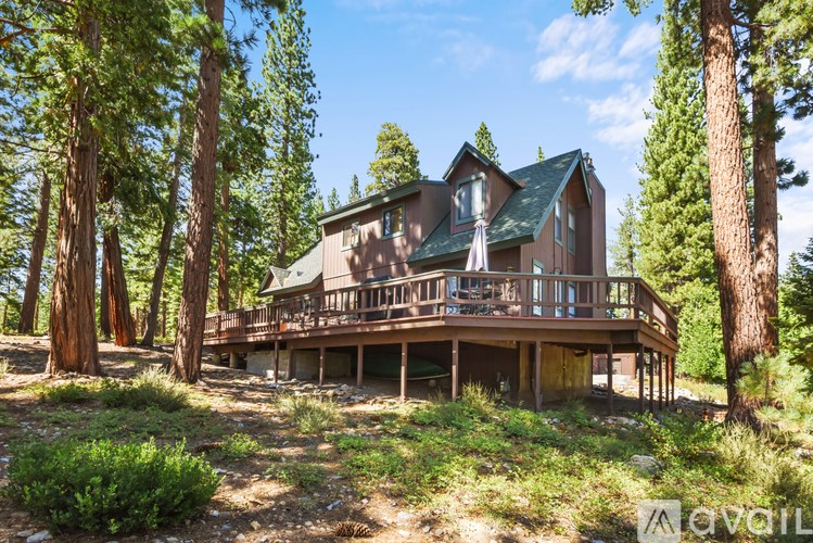 A house with a green roof is surrounded by trees.