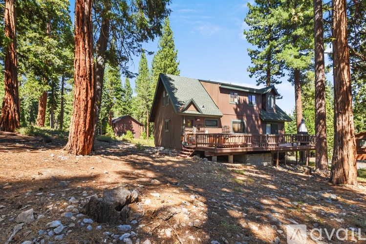 A house with a green roof is surrounded by tall trees.