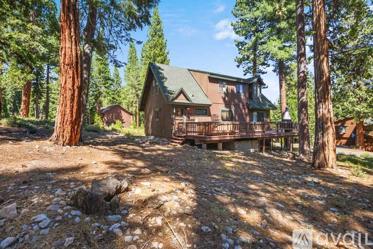 A house with a green roof is surrounded by trees.