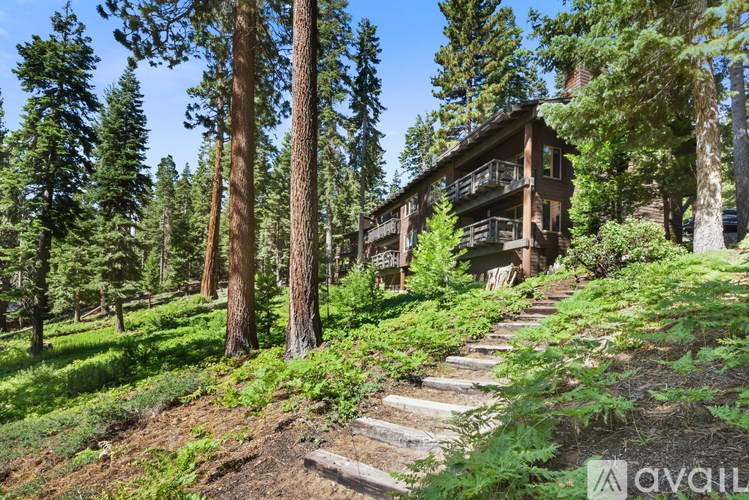 A wooden cabin is nestled in the woods with a staircase leading up to it.