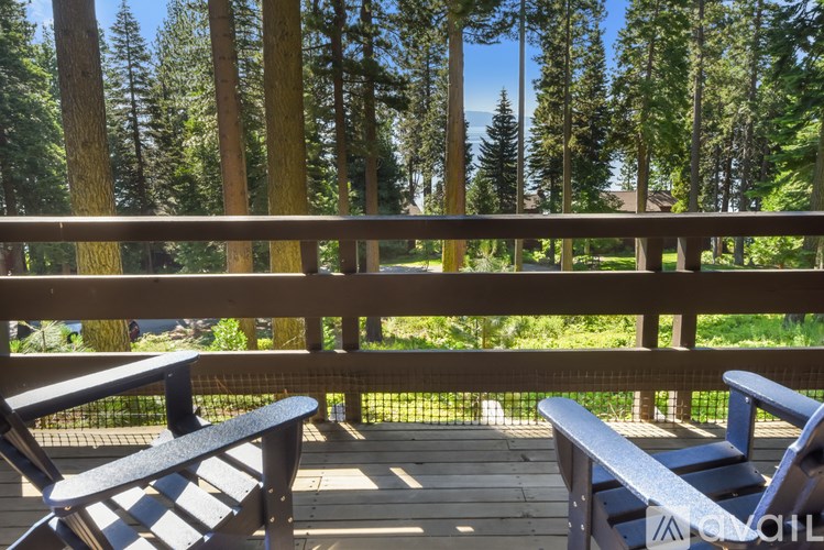 A wooden deck with two benches overlooks a forest.