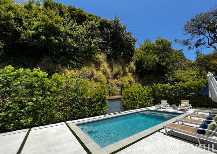 A pool surrounded by green trees and bushes.