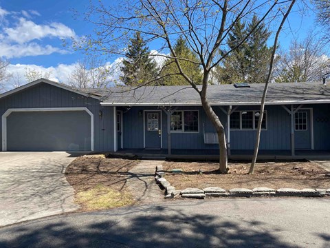 A house with a grey garage door and a tree in front.