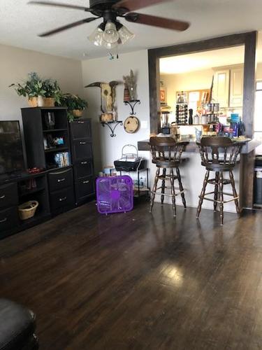 A room with a ceiling fan and a purple object on the floor.