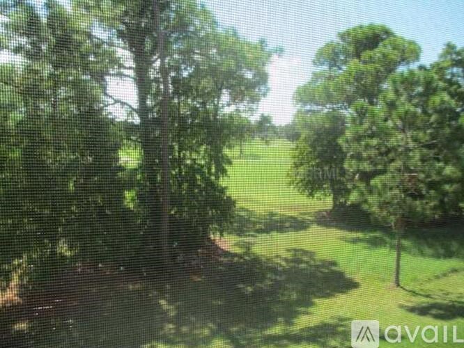 A grassy field with trees and a clear sky.