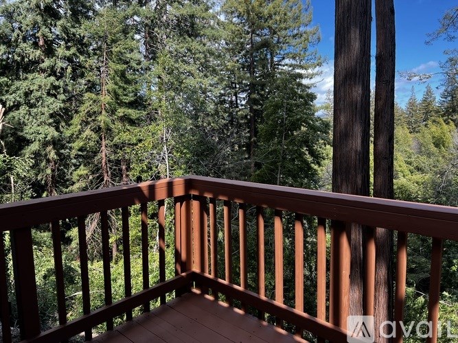 A wooden deck overlooks a forest of tall trees.