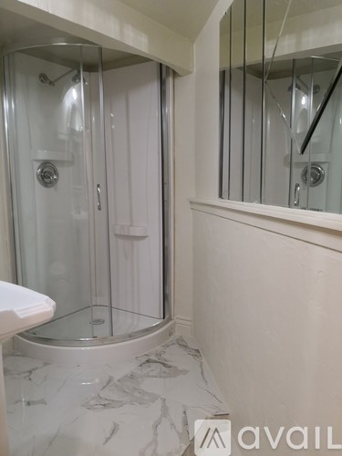 A bathroom with a walk in shower and a toilet.