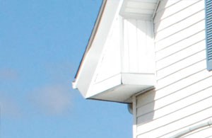 shed Tool shed space painted like a barn with animals