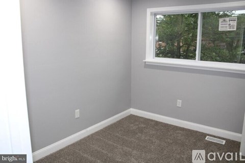 A room with a carpeted floor and a window showing trees outside.