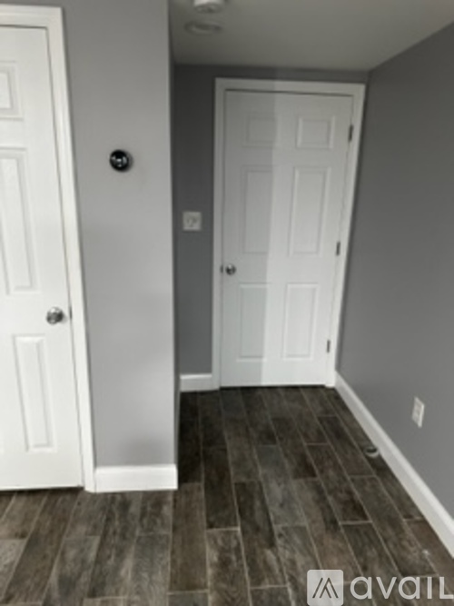 A hallway with two white doors and wood flooring.