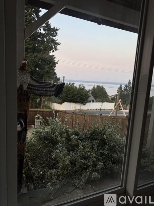 A view from a window looking out to a wooden fence and trees.
