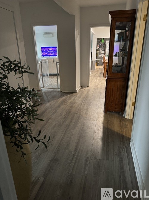 A room with a wooden floor and a plant on the left side.
