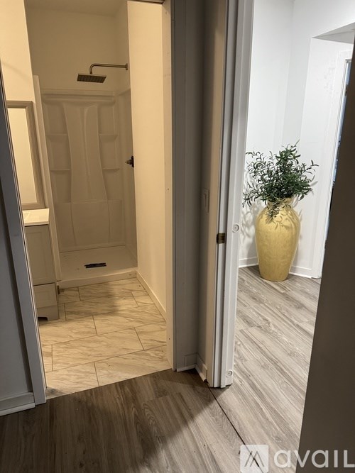 A bathroom with a walk-in shower and a wooden floor leading to a hallway.