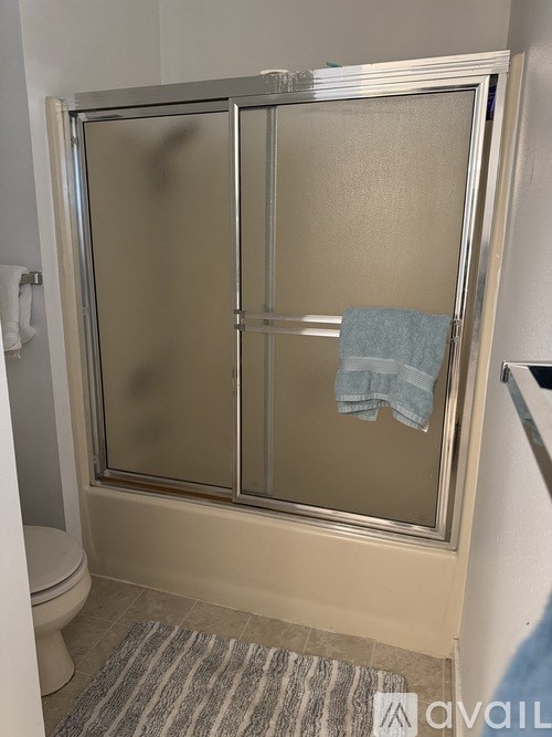 A bathroom with a toilet, a glass shower door, and a striped rug.