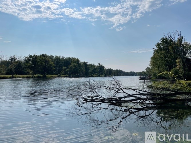 A serene lake with a clear sky and a fallen tree branch in the foreground.