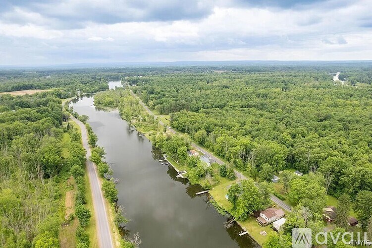 A river flows through a lush green forest with a road running alongside it.