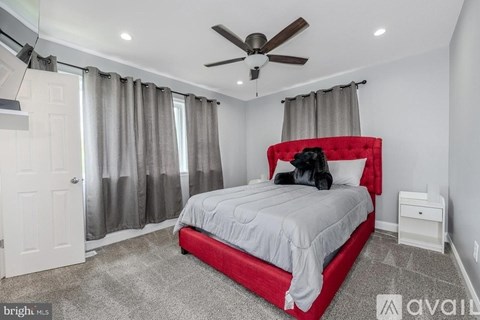 A bedroom with a red headboard bed, a ceiling fan, and a window with curtains.