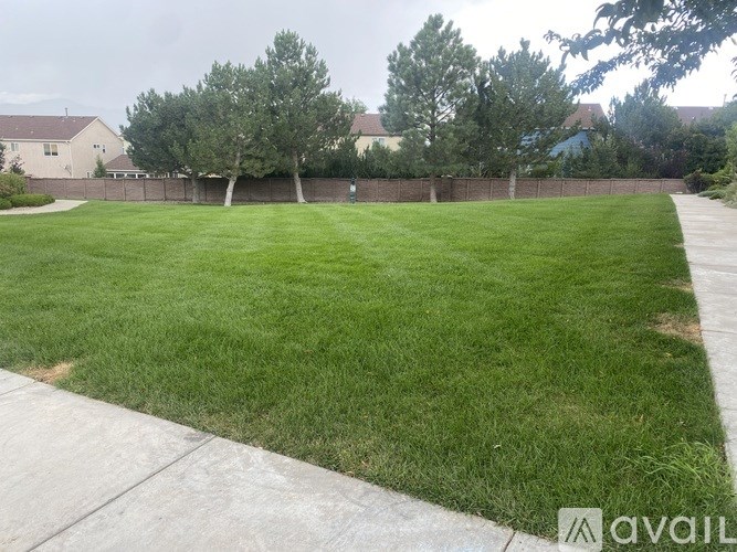 A grassy area with a fence and trees in the background.