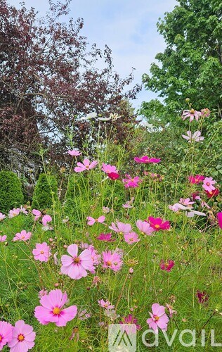 A black leather couch with a plaid throw blanket on it.